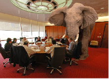 The 800 Pound Elephant in the Room