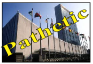 The United Nations Video – Any Questions?